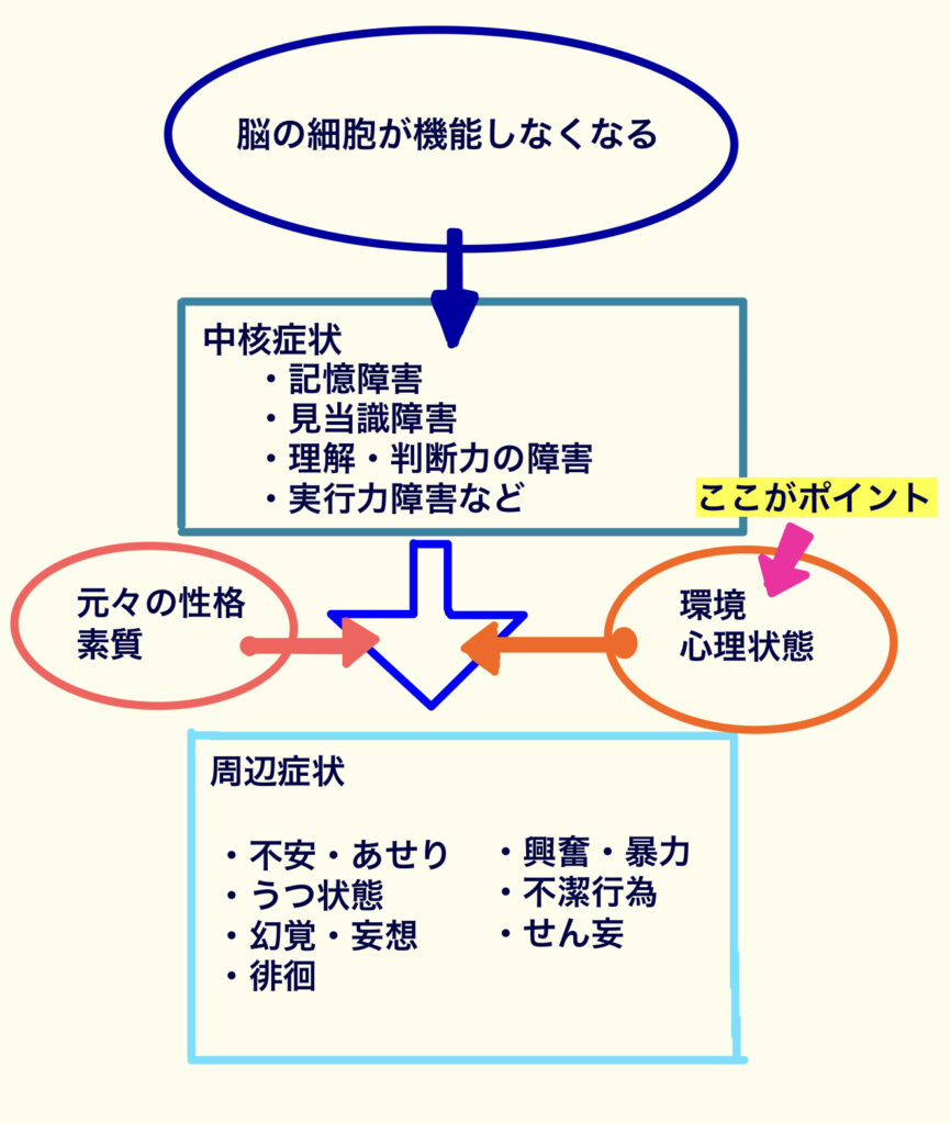 認知症の中核症状と周辺症状について文字で解説している写真。「環境・心理状態」に「ここがポイント」という強調がされている。